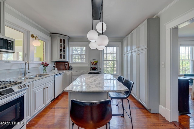 kitchen with a sink, dark wood-style floors, appliances with stainless steel finishes, and a wealth of natural light