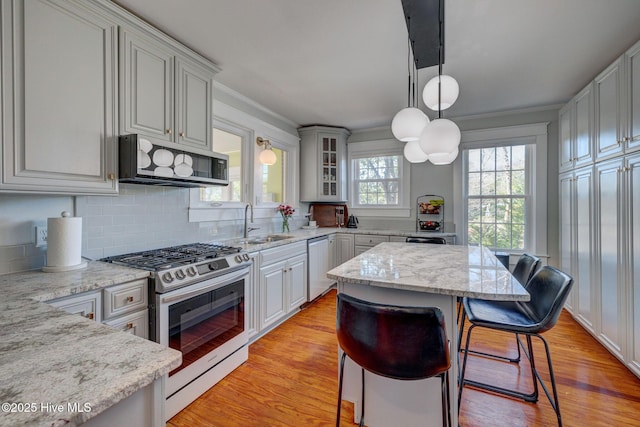 kitchen featuring light wood finished floors, decorative backsplash, stainless steel appliances, and a sink