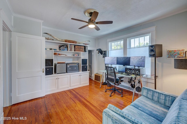 office with light wood finished floors, ceiling fan, and ornamental molding