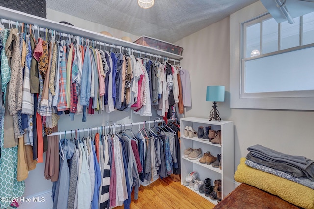 walk in closet featuring wood finished floors