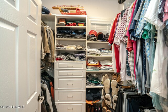 view of spacious closet