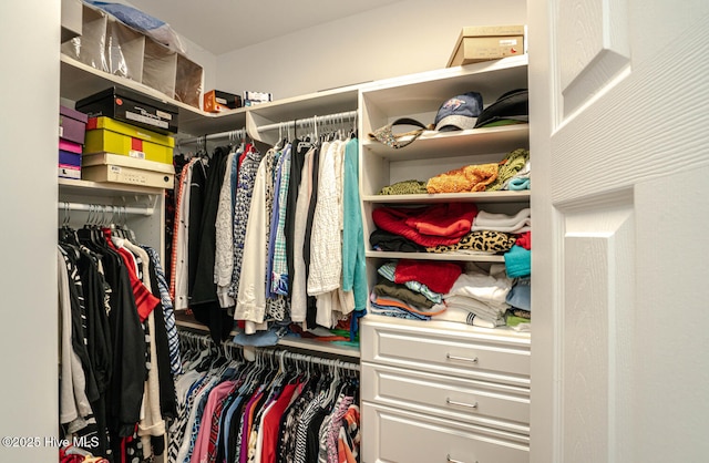 view of spacious closet