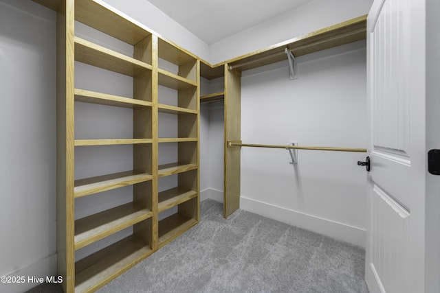 spacious closet with carpet floors