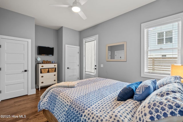 bedroom featuring multiple windows, ceiling fan, and wood finished floors