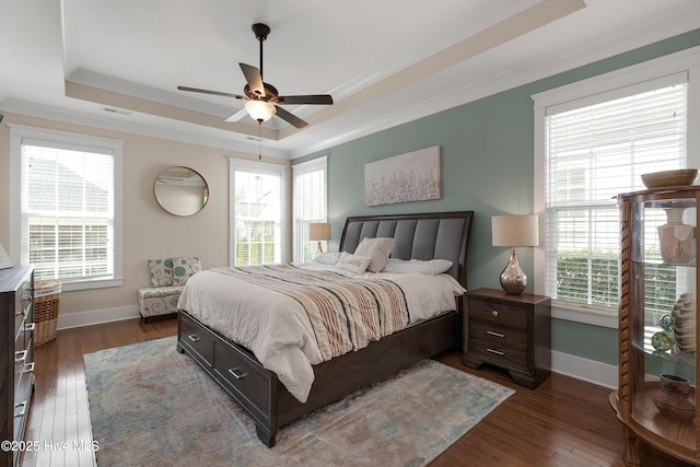 bedroom with multiple windows, a tray ceiling, and dark wood finished floors