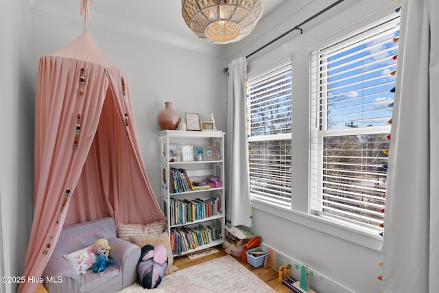 playroom featuring wood finished floors, a wealth of natural light, and baseboards