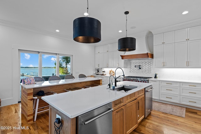 kitchen with backsplash, a sink, light countertops, premium range hood, and stainless steel dishwasher