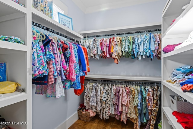 walk in closet with wood finished floors