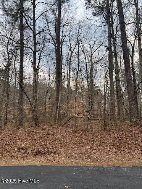 0 Dogwood Dr, Hertford NC, 27944 land for sale