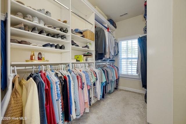 walk in closet featuring carpet floors and visible vents