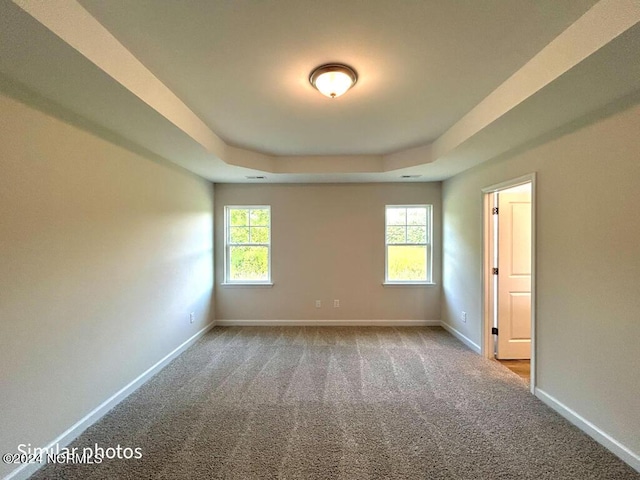 carpeted spare room featuring a raised ceiling, a healthy amount of sunlight, and baseboards