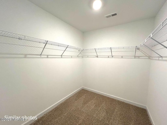 spacious closet featuring carpet and visible vents