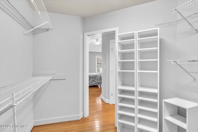 walk in closet featuring light wood-style flooring