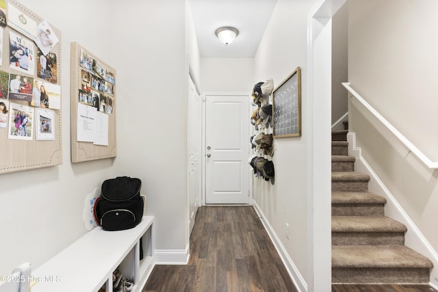 mudroom featuring baseboards and dark wood finished floors