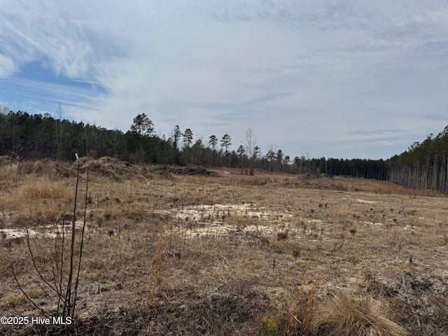 563 Winford Rd, Eagle Springs NC, 27242 land for sale