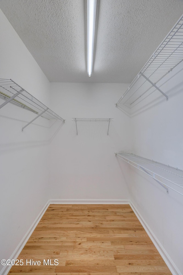 spacious closet featuring light wood-type flooring