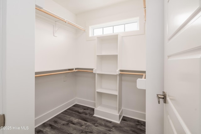 walk in closet with dark wood-style floors