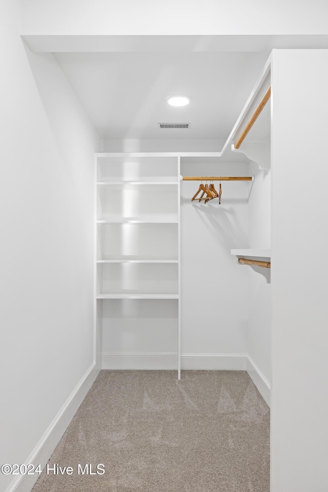 spacious closet featuring carpet floors and visible vents