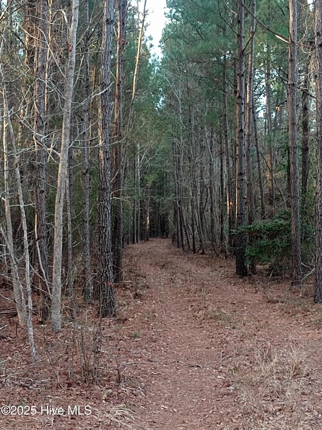 Listing photo 3 for 21.7ACRES Benton Rd SE, Bolivia NC 28422