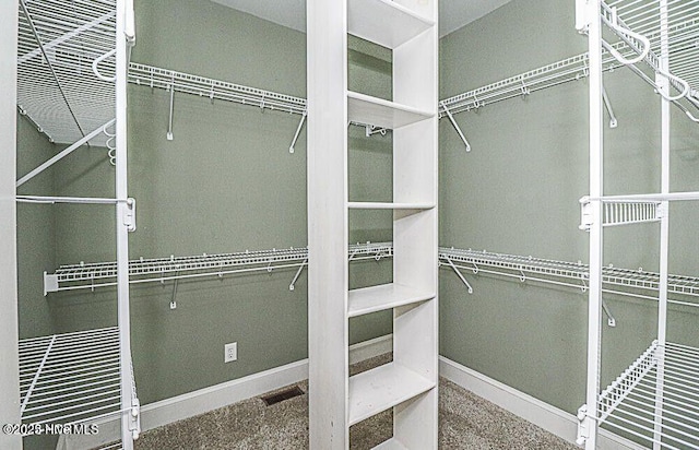 view of spacious closet