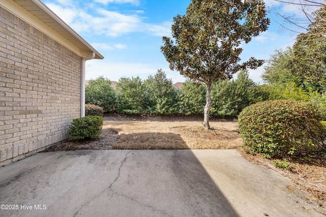 view of yard with a patio