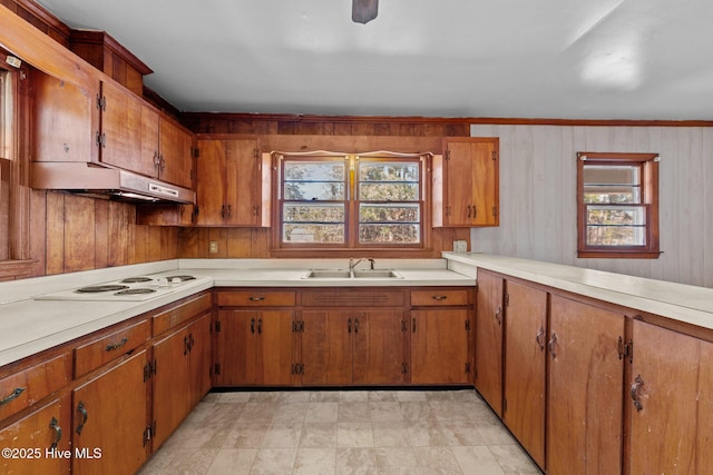 kitchen featuring white electric cooktop, under cabinet range hood, light countertops, and a sink