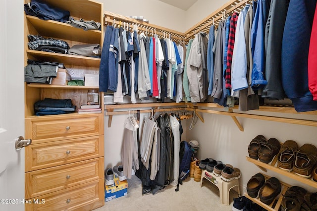 walk in closet with carpet