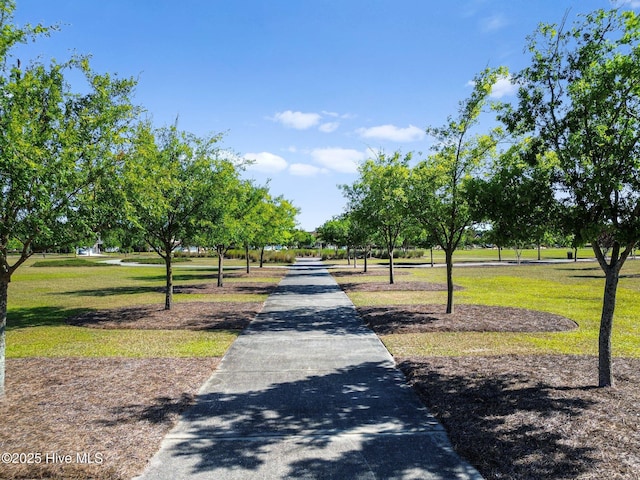 view of community featuring a lawn