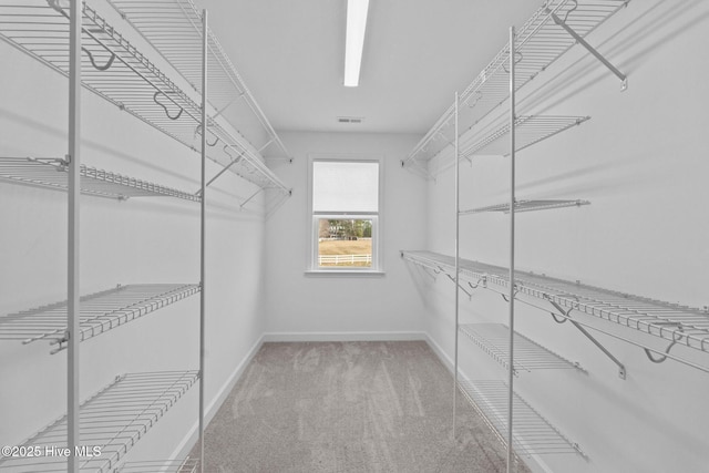 walk in closet featuring carpet and visible vents