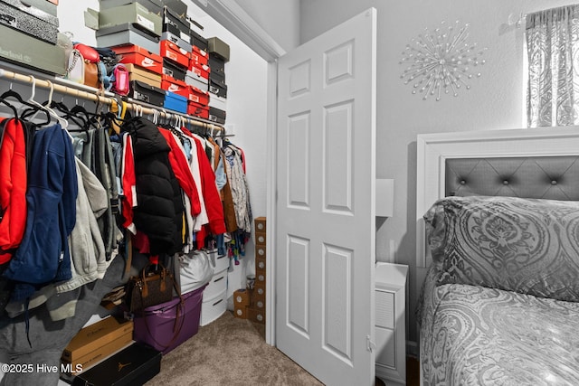 walk in closet featuring carpet floors