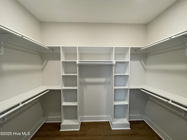 walk in closet with dark wood-style flooring