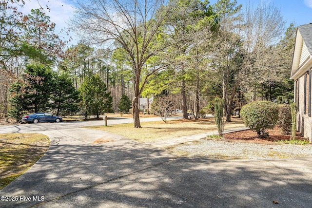 view of road with concrete driveway