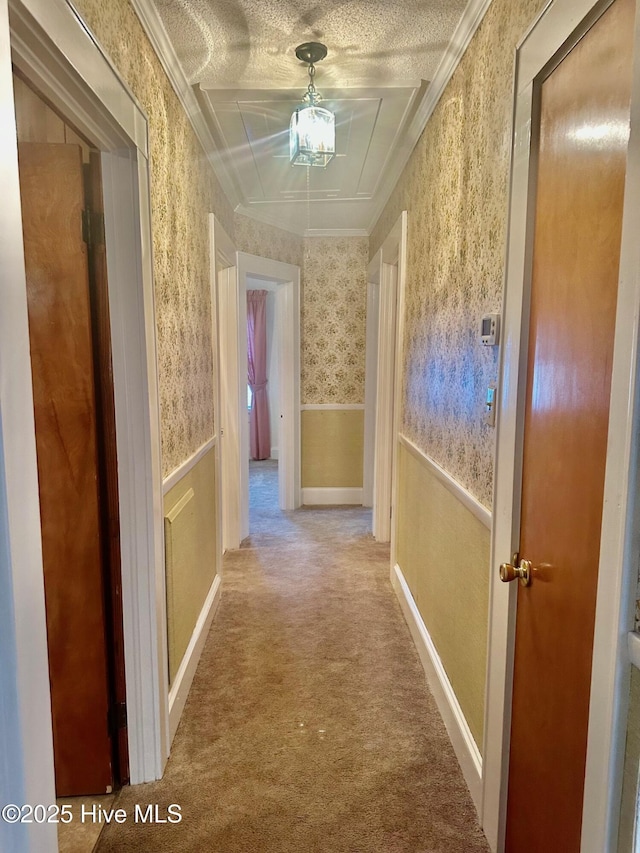 hallway featuring carpet, a wainscoted wall, ornamental molding, a textured ceiling, and wallpapered walls