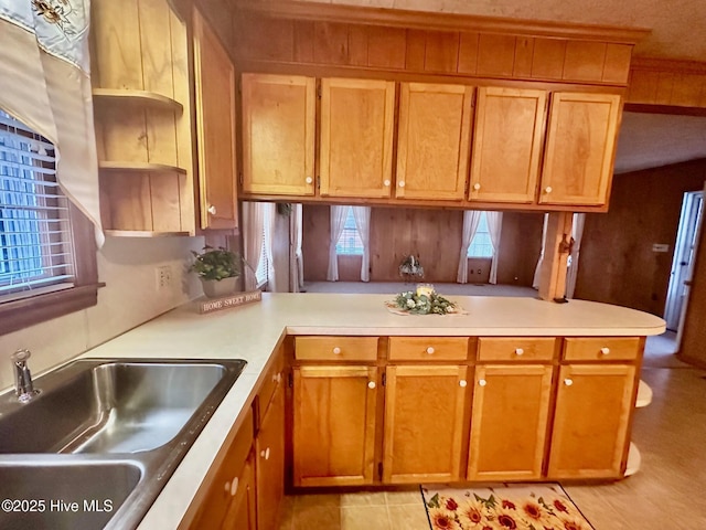 kitchen with a healthy amount of sunlight, light countertops, a sink, and open shelves