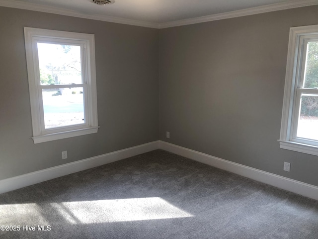 spare room with dark colored carpet, a wealth of natural light, and crown molding