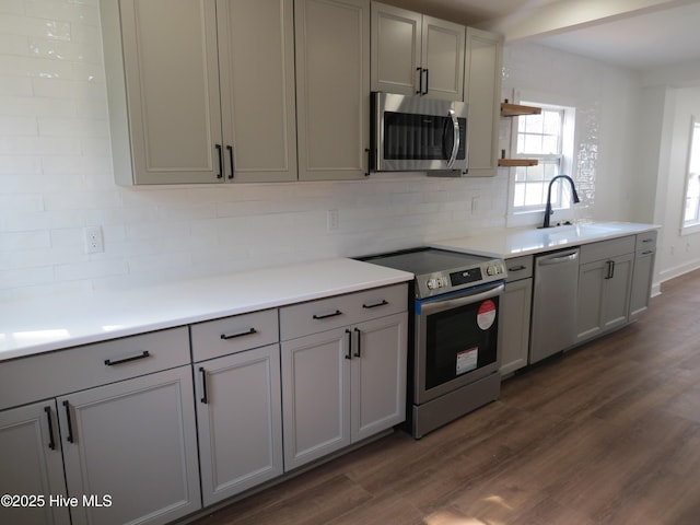 kitchen featuring dark wood finished floors, appliances with stainless steel finishes, a sink, gray cabinets, and backsplash