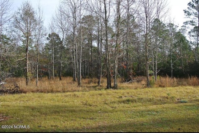 187 Garbacon Dr, Beaufort NC, 28516 land for sale