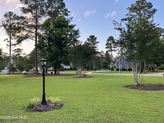 3602 Cranberry Ln, New Bern, NC 28562 - view of home's community with a lawn