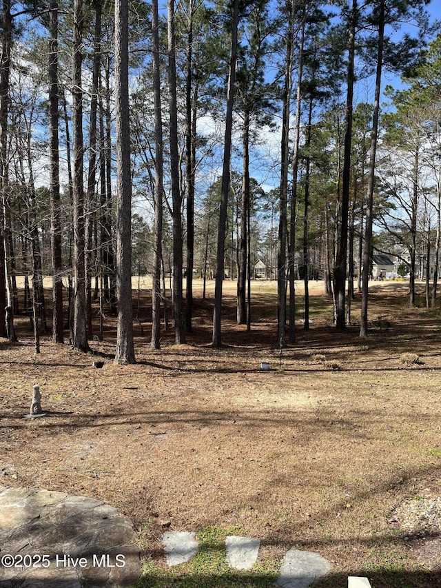 3602 Cranberry Ln, New Bern, NC 28562 - view of yard