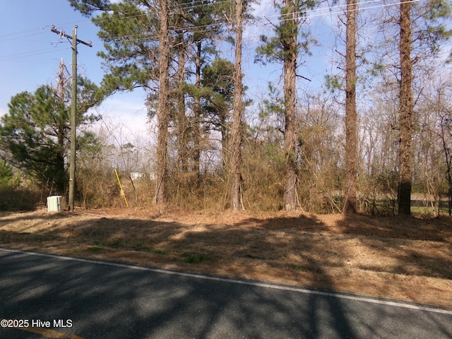 PAGES Lake Rd, Saint Pauls NC, 28384 land for sale