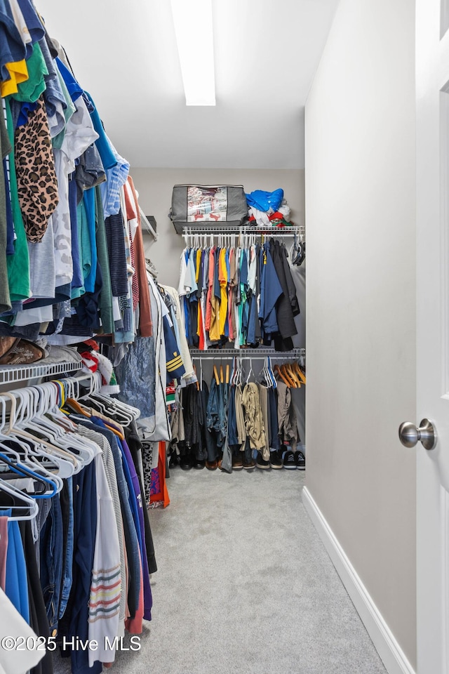 spacious closet featuring carpet flooring