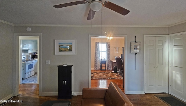 interior space with a textured ceiling, dark wood-type flooring, baseboards, and ornamental molding