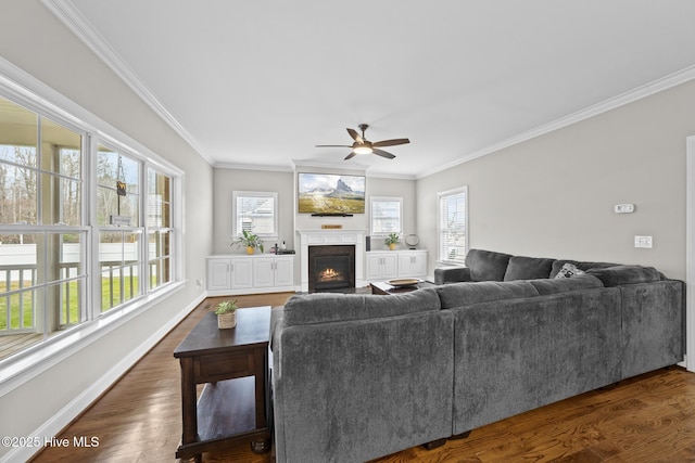 living area featuring dark wood-style floors, ornamental molding, a fireplace with flush hearth, ceiling fan, and baseboards