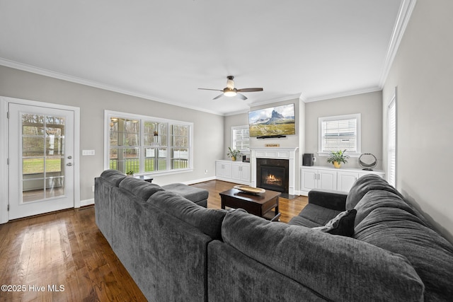 living room with wood-type flooring, crown molding, and a fireplace with flush hearth