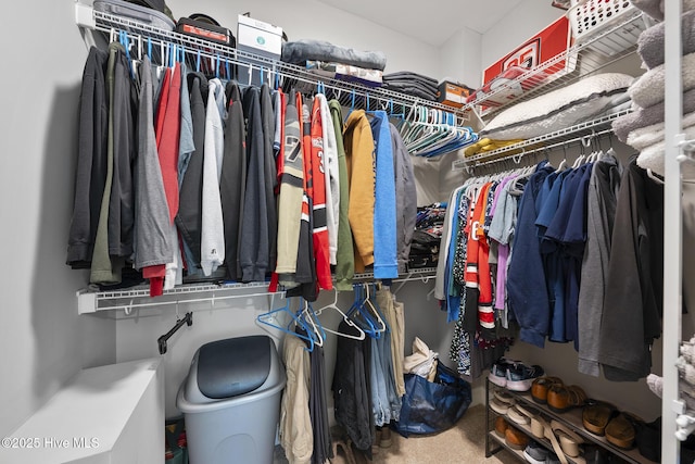 walk in closet with carpet floors