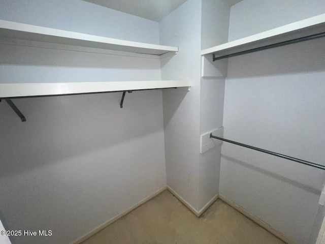 view of spacious closet