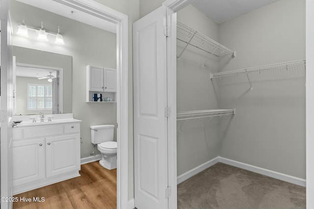 bathroom featuring a walk in closet, toilet, ceiling fan, vanity, and baseboards