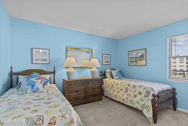 bedroom featuring carpet floors and a textured ceiling