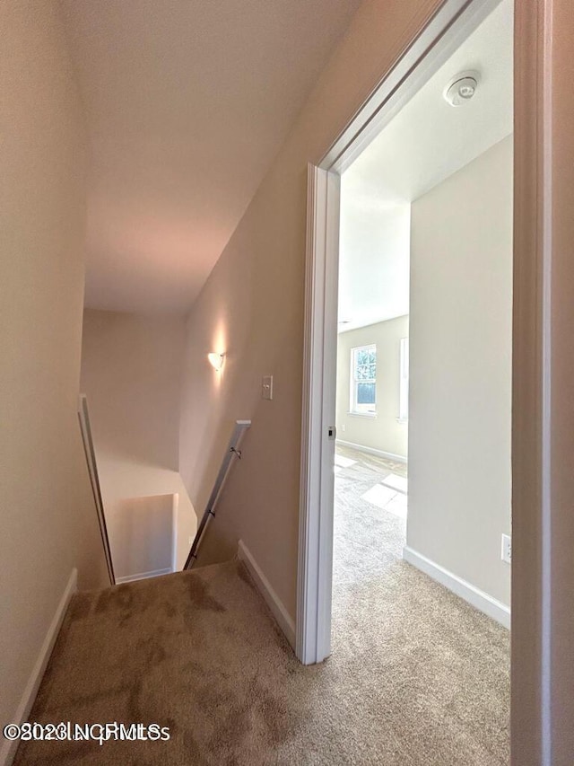 stairs with carpet and baseboards