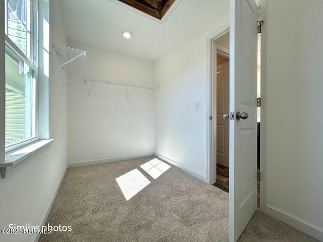 spacious closet with carpet floors and a skylight